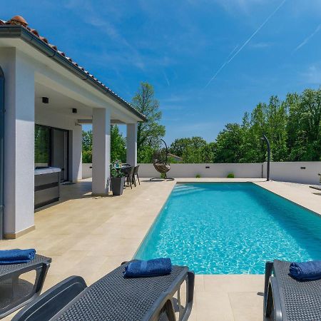 Villa Vine By Interhome Marčana Extérieur photo